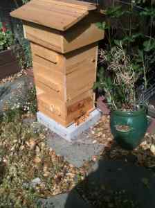 My beehive, built by Rhona Mahony